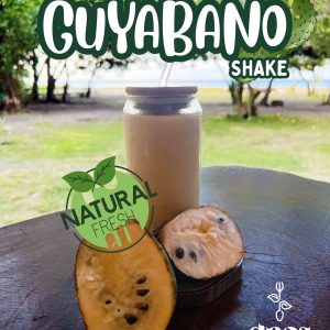 Guyabano shake 120 Guyabano Shake